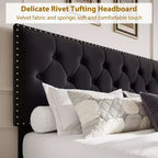 Base de cama tapizada en terciopelo blanco/negro con 2 cajones de almacenamiento, tamaño matrimonial/queen/king, para 1-2 adultos